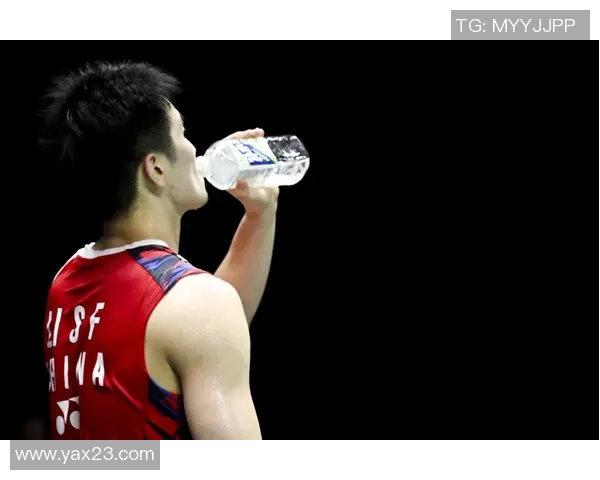 羽毛球顶级赛事参赛选手最新状态与赛程动态全景解析 羽毛球顶级赛事参赛选手最新状态与赛程动态全景解析